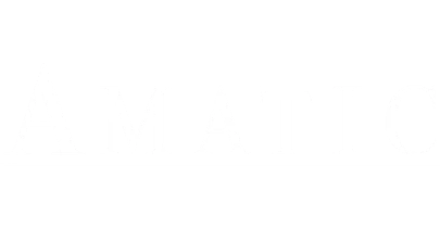 partners who work with MTgame